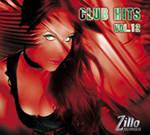 Zillo ClubHits Sampler 12